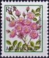 Colnect-5072-554-Rosa-multiflora.jpg