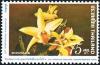 Colnect-5400-847-Dendrobium-Heterocarpum.jpg