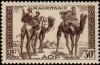 Colnect-850-776-Warriors-on-Dromedary-Camelus-dromedarius.jpg