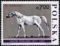 Colnect-4635-454-Stallion-----Skowronek-quot--Equus-ferus-caballus.jpg