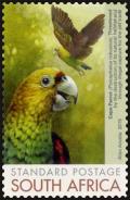 Colnect-5423-372-Cape-Parrot-Poicephalus-robustus.jpg