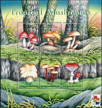 Colnect-2031-889-Tropical-Mushrooms.jpg