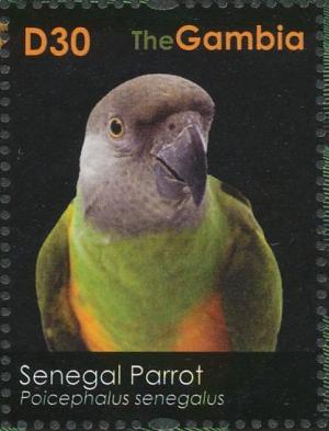 Colnect-1721-804-Senegal-Parrot%C2%A0Poicephalus-senegalus.jpg