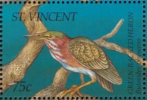 Colnect-1755-614-Green-Heron-Butorides-virescens.jpg