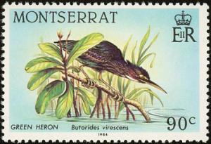 Colnect-1785-068-Green-Heron-Butorides-virescens.jpg