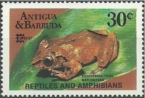 Colnect-1952-447-Martinique-Robber-Frog-Eleutherodactylus-martinicensis.jpg