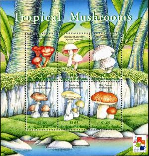 Colnect-2031-890-Tropical-Mushrooms.jpg