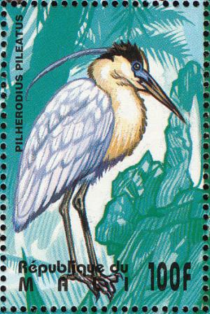 Colnect-2376-012-Capped-Heron-Pilherodius-pileatus.jpg