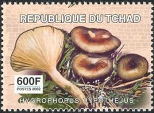 Colnect-2395-337-Hygrophorus-hypothejus.jpg