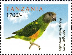 Colnect-2425-933-Senegal-Parrot-Poicephalus-senegalus-.jpg