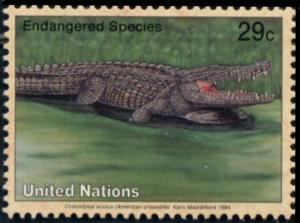 Colnect-2560-690-American-Crocodile-Crocodylus-acutus.jpg