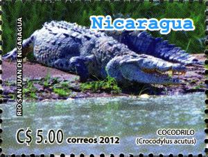 Colnect-3063-618-American-Crocodyle-Crocodylus-acutus.jpg