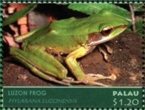 Colnect-4992-719-Luzon-Frog-Hylarana-luzonensis.jpg