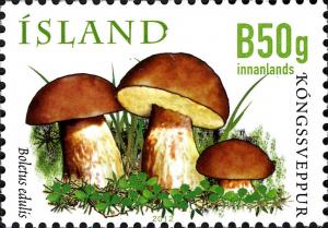 Colnect-5064-102-Wild-Mushrooms-VII---The-penny-bun.jpg