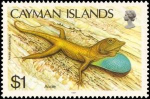 Colnect-5132-655-Cayman-Blue-throated-Anole-Anolis-conspersus.jpg