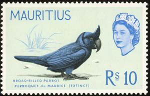 Colnect-734-487-Broad-billed-Parrot-Lophopsittacus-mauritianus.jpg
