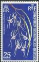 Colnect-1317-892-Dendrobium-teretifolium.jpg