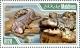 Colnect-4291-078-Saltwater-Crocodile-Crocodylus-porosus.jpg