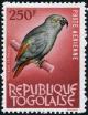 Colnect-5138-076-Grey-Parrot-Psittacus-erithacus.jpg