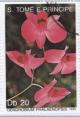 Colnect-947-843-Dendrobium-phalaenopsis.jpg