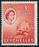 STS-Seychelles-2.jpg-crop-344x416at365-1003.jpg
