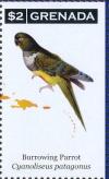 Colnect-4523-279-Burrowing-Parrot----Cyanoliseus-patagonu.jpg
