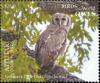 Colnect-7163-167-Verreaux-s-Eagle-Owl.jpg
