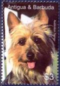 Colnect-3414-749-Australian-Terrier-Canis-lupus-familiaris.jpg