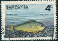 Colnect-4244-002-Parrotfish-Scarus-sp.jpg