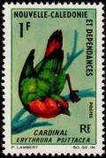 Colnect-853-822-Red-throated-Parrotfinch-Erythrura-psittacea.jpg