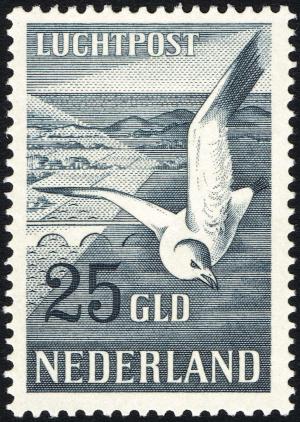 Colnect-2191-228-European-Herring-Gull-Larus-argentatus.jpg