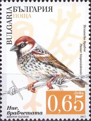 Colnect-4561-865-Spanish-sparrow-Passer-hispaniolensis.jpg