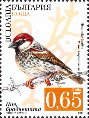 Colnect-4561-869-Spanish-sparrow-Passer-hispaniolensis.jpg