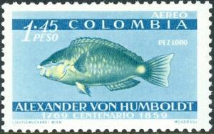 Colnect-5056-333--Blue--Parrotfish-Scarus-coeruleus.jpg