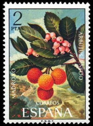 Colnect-597-249-Strawberry-Tree-Arbutus-unedo.jpg