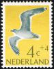 Colnect-2192-844-European-Herring-Gull-Larus-argentatus.jpg