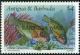 Colnect-2111-833-Striped-Parrotfish-Scarus-croicensis.jpg