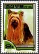 Colnect-2259-959-Yorkshire-Terrier-Canis-lupus-familiaris.jpg