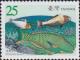 Colnect-3008-605-Bicolour-Parrotfish-Cetoscarus-bicolor.jpg