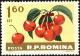 Colnect-4945-275-Cherries-Prunus-avium.jpg