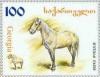 Colnect-1104-811-Tushir-Horse-Equus-ferus-caballus.jpg
