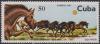 Colnect-1409-937-Herd-of-Horses-Equus-ferus-caballus.jpg
