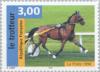 Colnect-146-603-Trotter-Horse-Equus-ferus-caballus.jpg
