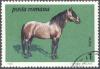Colnect-5793-854-Huzule-Horse-Equus-ferus-caballus.jpg