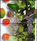 Colnect-2635-861-Avocado-persimmon-date-mango-grapes.jpg