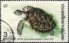Colnect-1339-166-Hawksbill-Turtle-Eretmochelys-imbricata.jpg