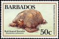 Colnect-1497-067-Red-footed-Tortoise-Chelonoidis-carbonaria.jpg