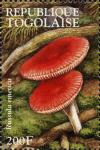 Colnect-3251-172-Russula-emetica.jpg