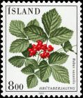 Colnect-4549-344-Rubus-saxatilis.jpg