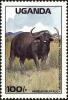 Colnect-4277-814-African-Buffalo-Syncerus-caffer-Murchison-Falls-National-.jpg